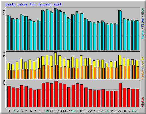 Daily usage for January 2021