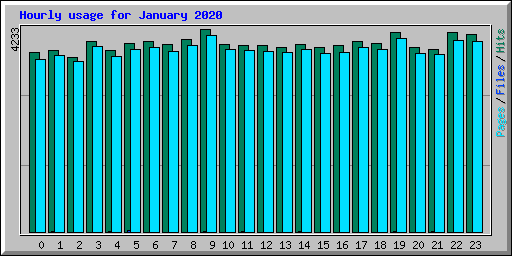 Hourly usage for January 2020
