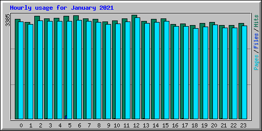 Hourly usage for January 2021