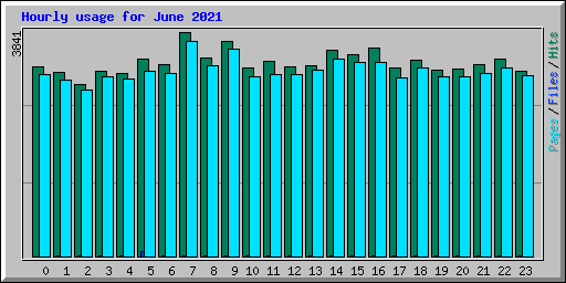 Hourly usage for June 2021