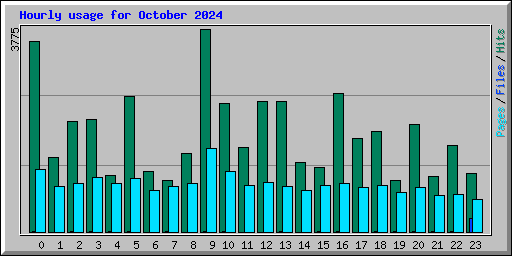Hourly usage for October 2024