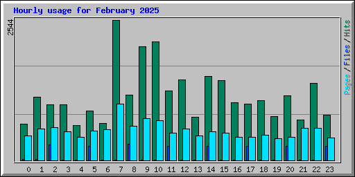 Hourly usage for February 2025