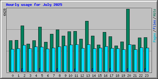 Hourly usage for July 2025