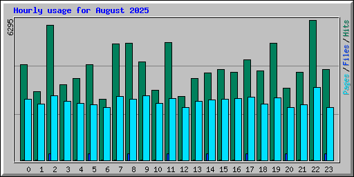 Hourly usage for August 2025